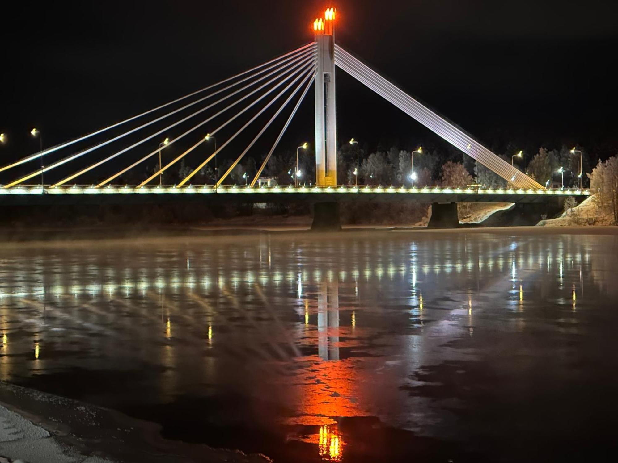 Sofia Rovaniemi City Apartment Bagian luar foto